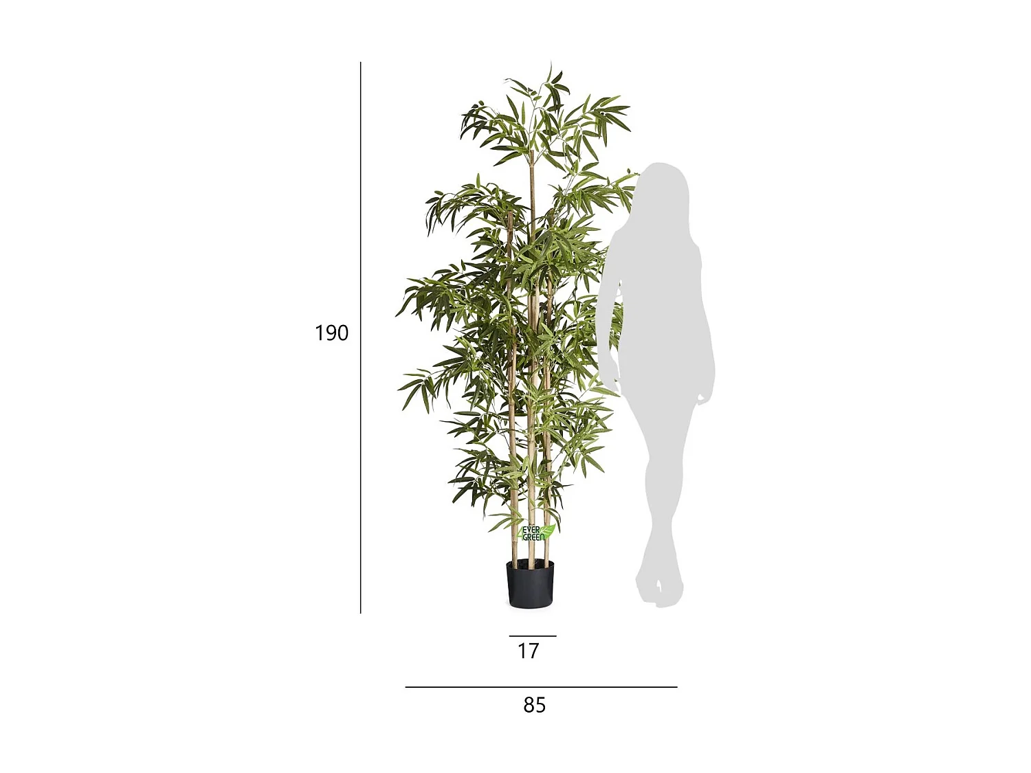 Planta artificiale con vaso - Bambù - H. 190 cm