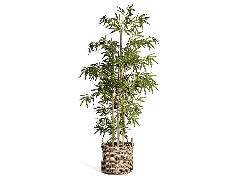 Kunstpflanze mit Topf - H. 190 cm - Bambus