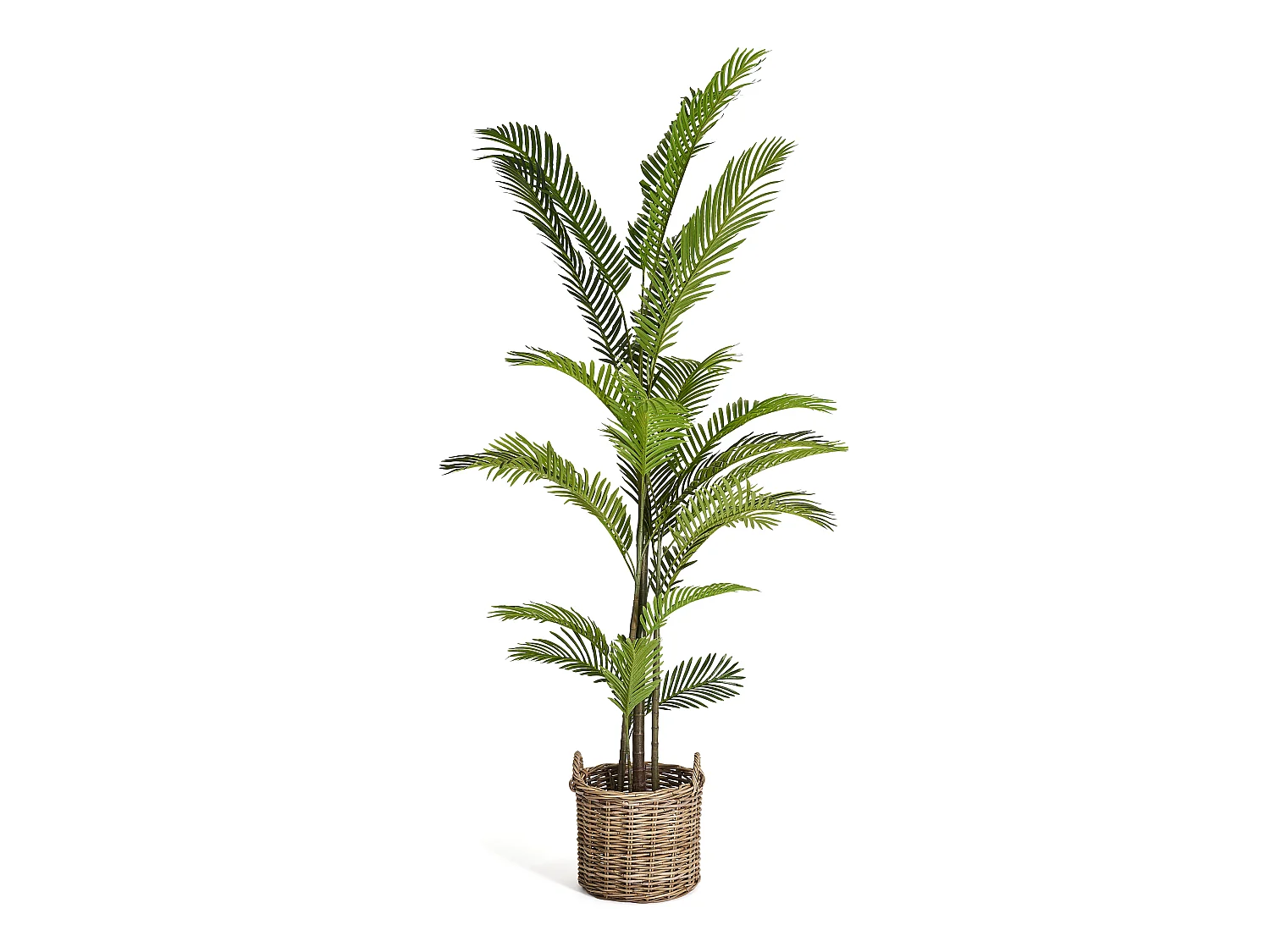 Kunstpflanze mit Topf - H. 220 cm - Palme