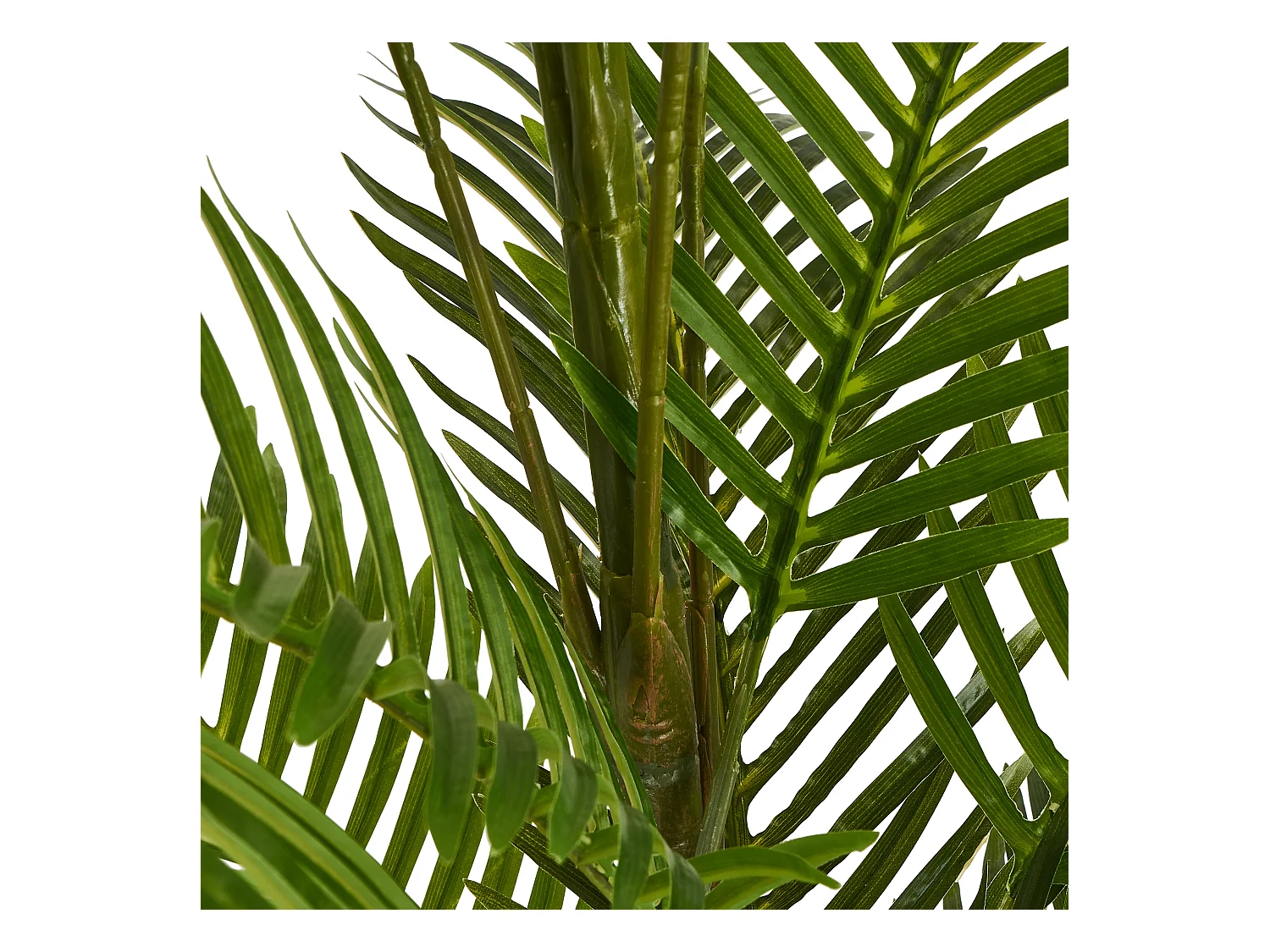 Kunstpflanze mit Topf - H. 220 cm - Palme