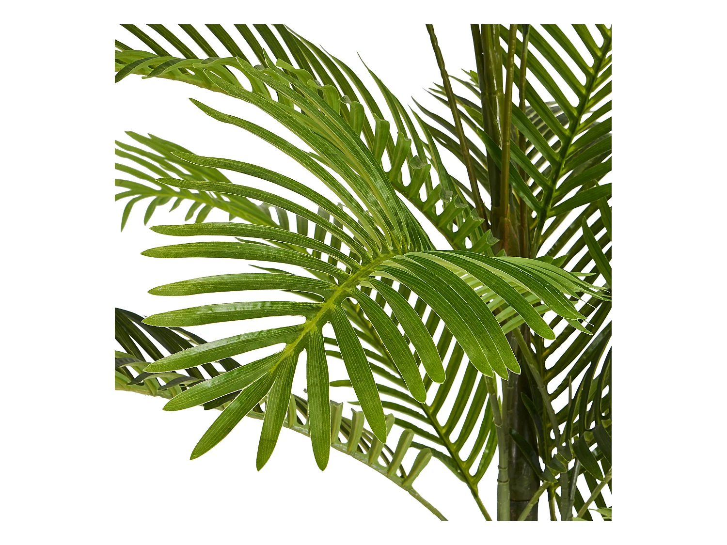 Kunstpflanze mit Topf - H. 220 cm - Palme