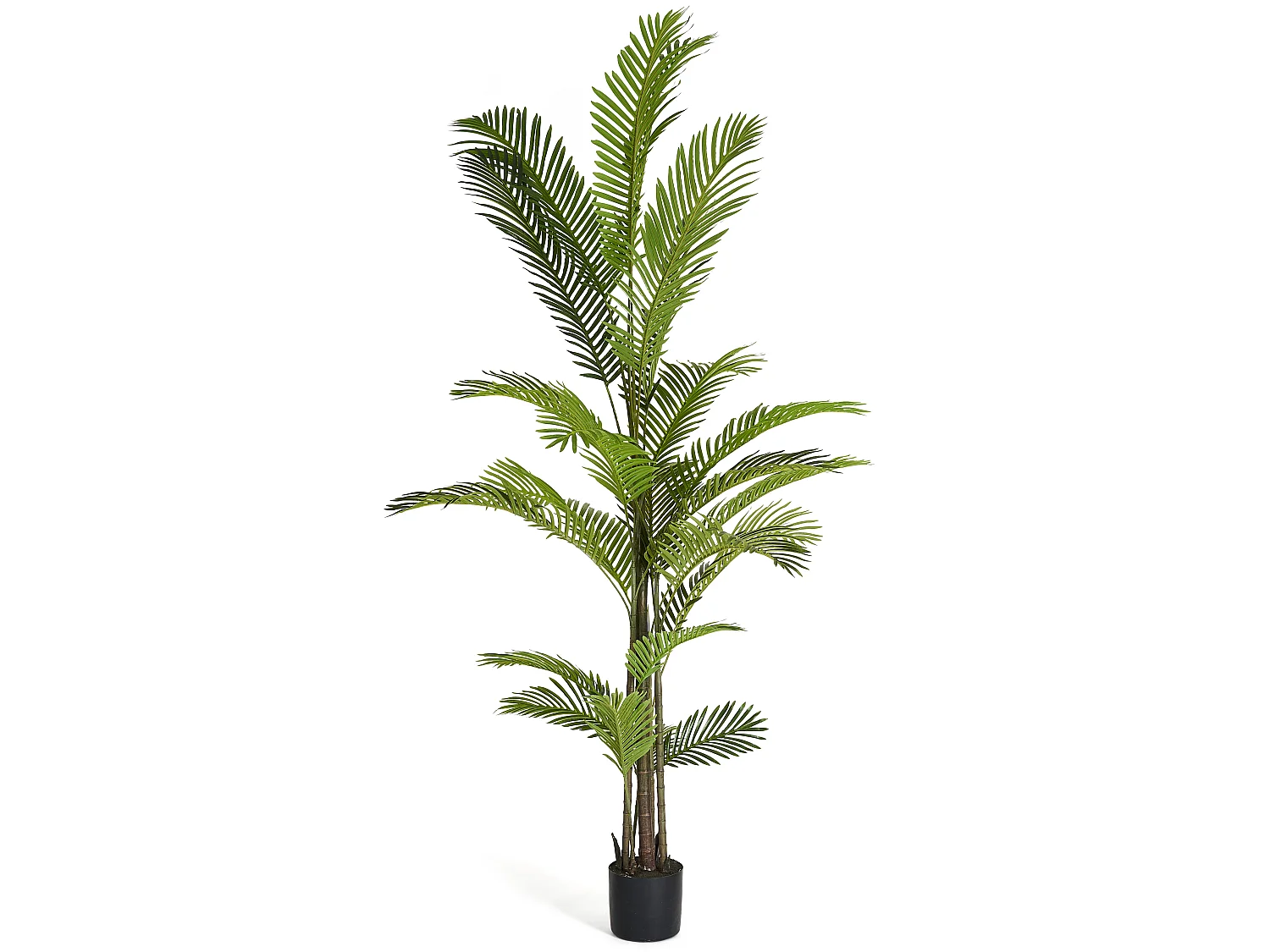 Kunstpflanze mit Topf - H. 220 cm - Palme