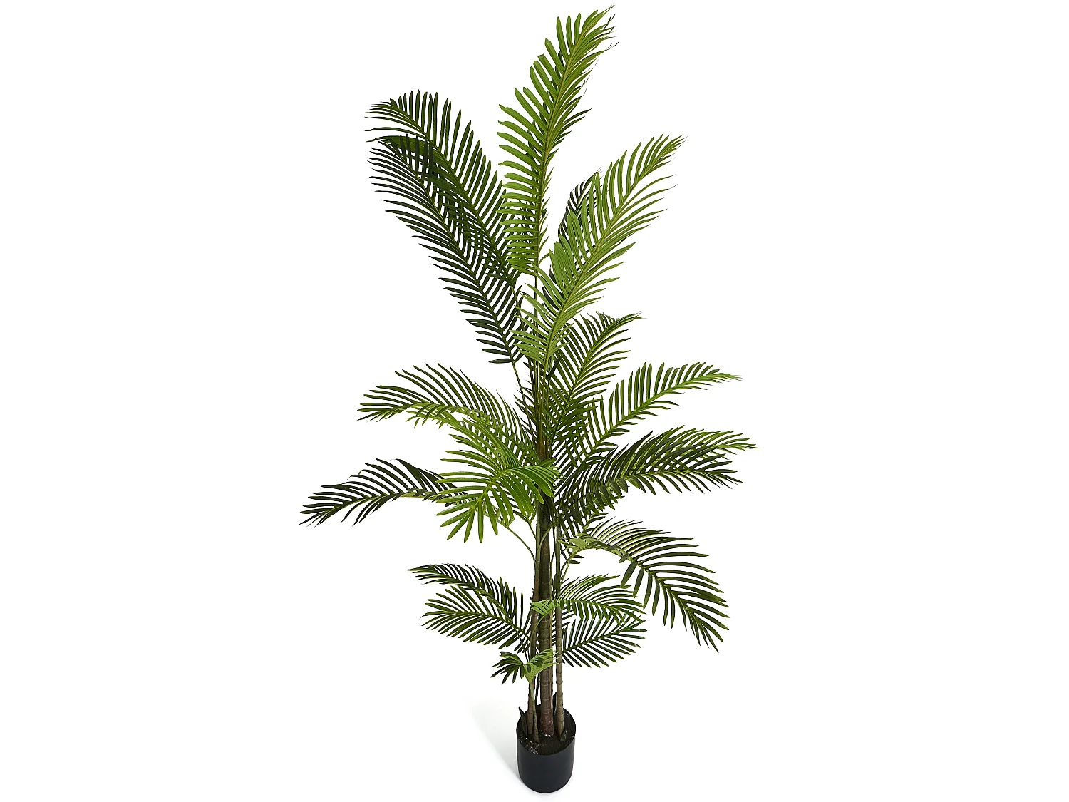 Kunstpflanze mit Topf - H. 220 cm - Palme