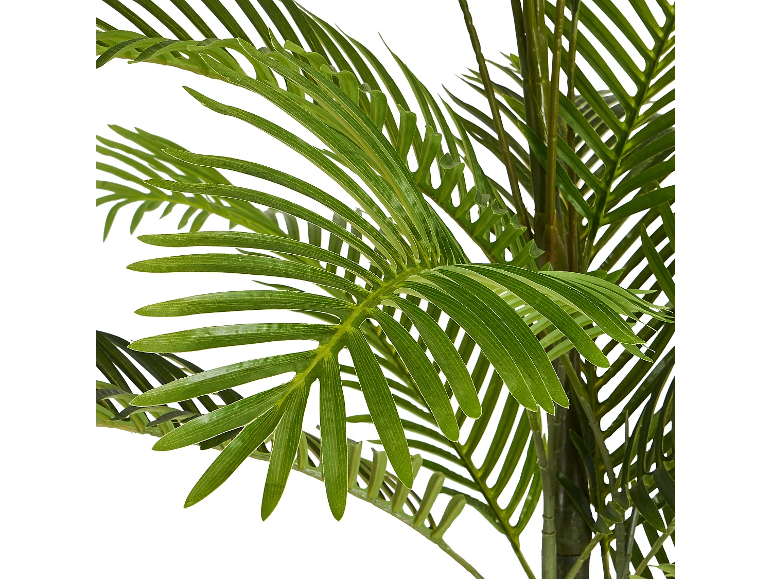 Kunstpflanze mit Topf - H. 220 cm - Palme