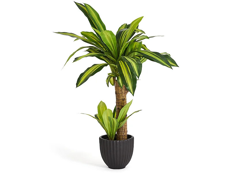 Kunstpflanze mit Topf - H. 80 cm - Dracaena