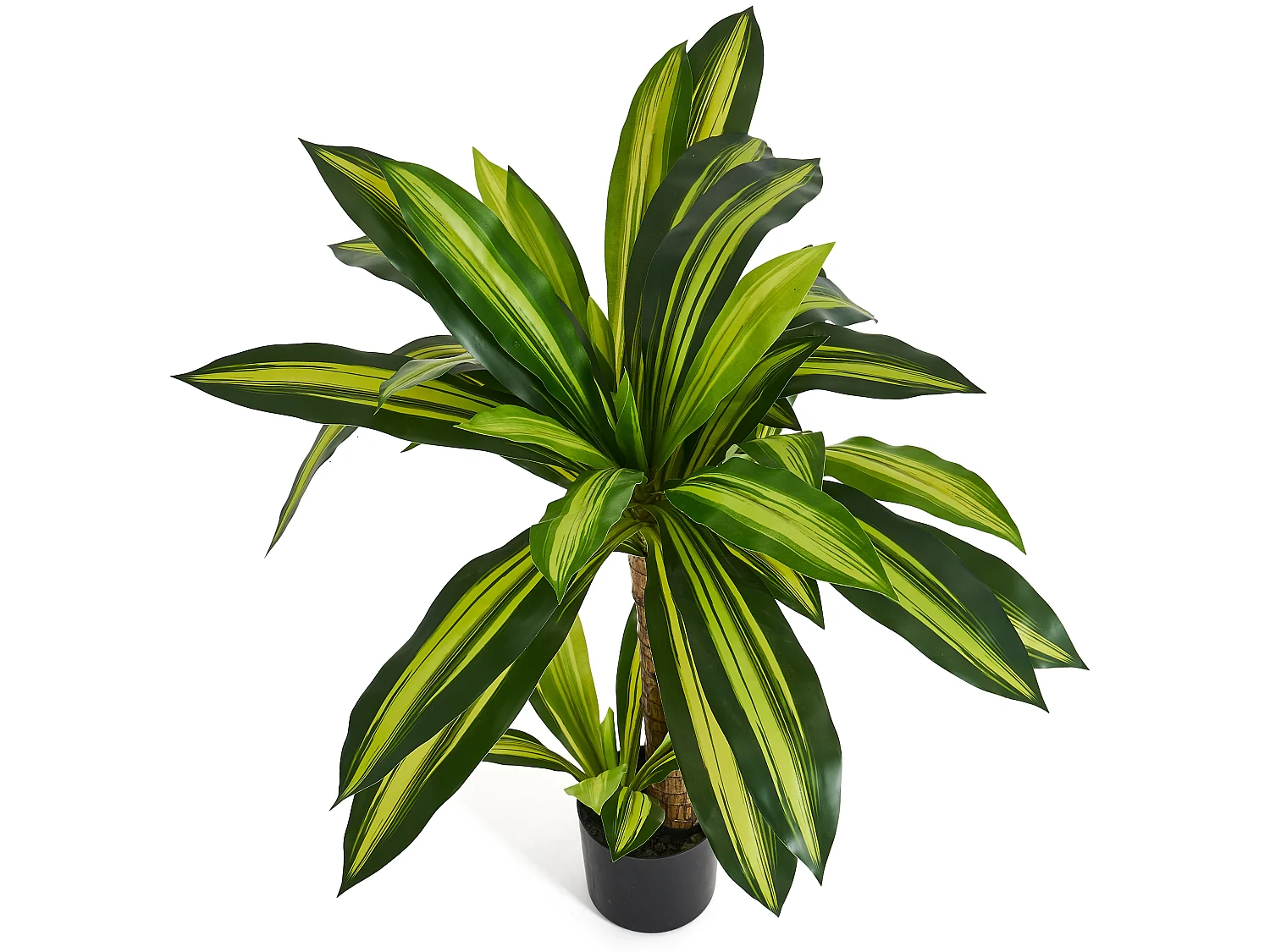 Kunstpflanze mit Topf - H. 80 cm - Dracaena