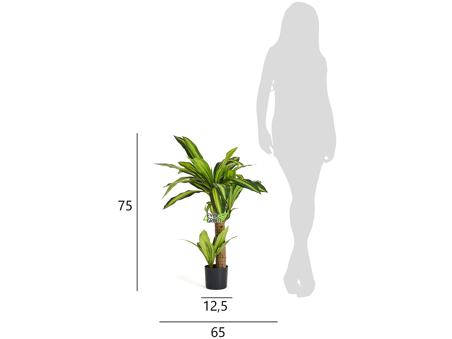 Kunstpflanze mit Topf - H. 80 cm - Dracaena