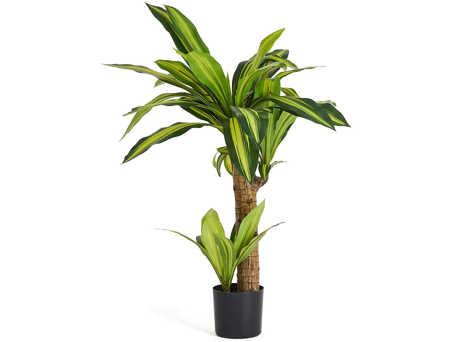 Plante artificielle Dracaena
