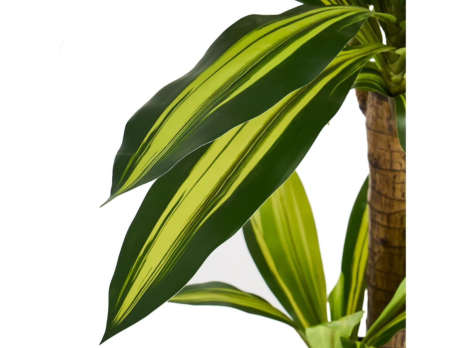 Plante artificielle Dracaena