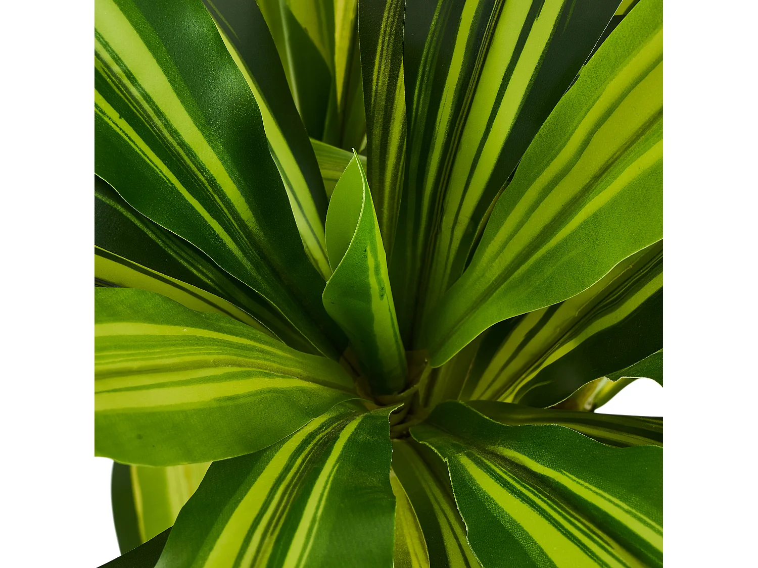 Plante artificielle Dracaena