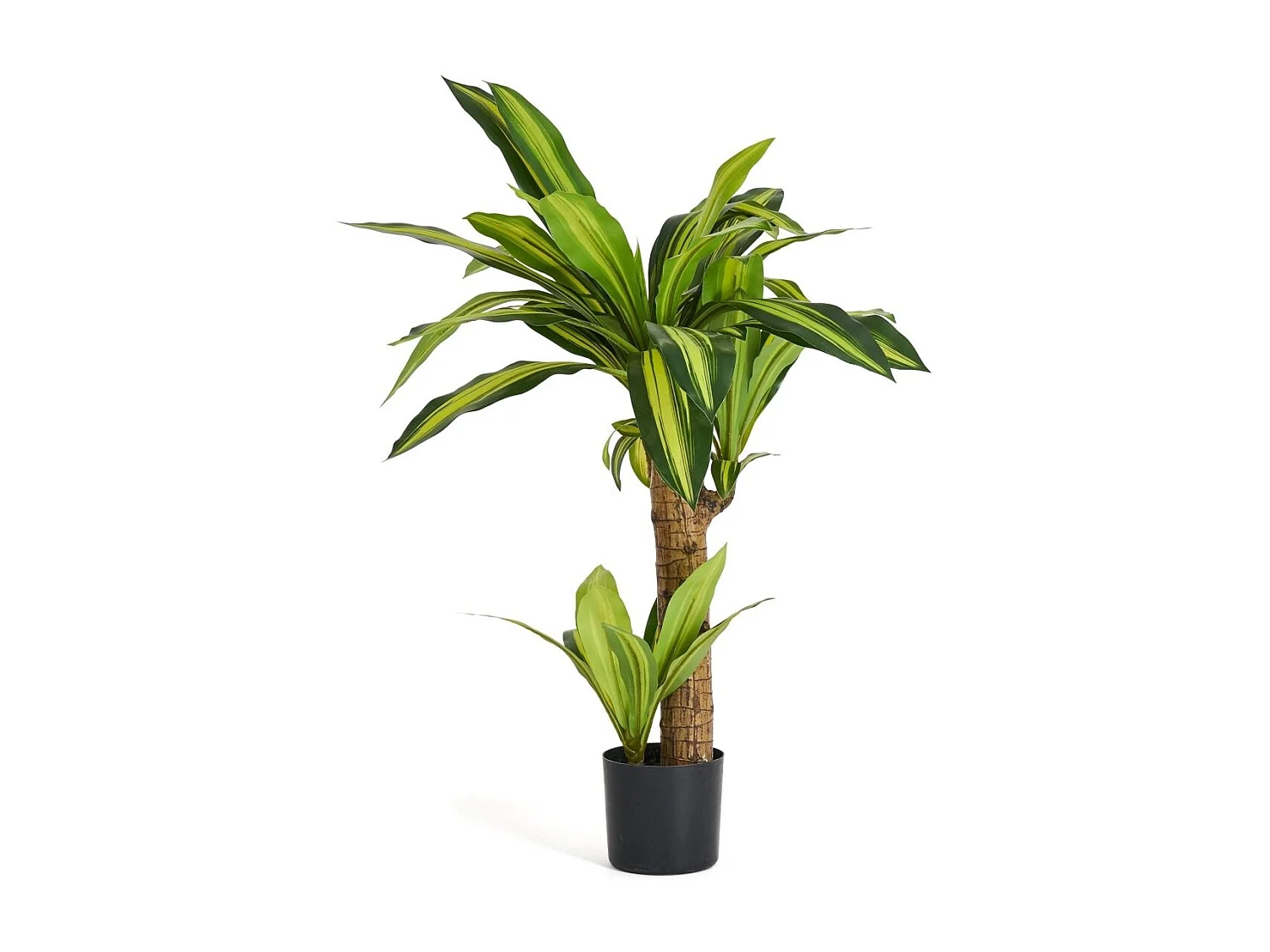 Planta artificiale con vaso - Dracena - H. 80 cm