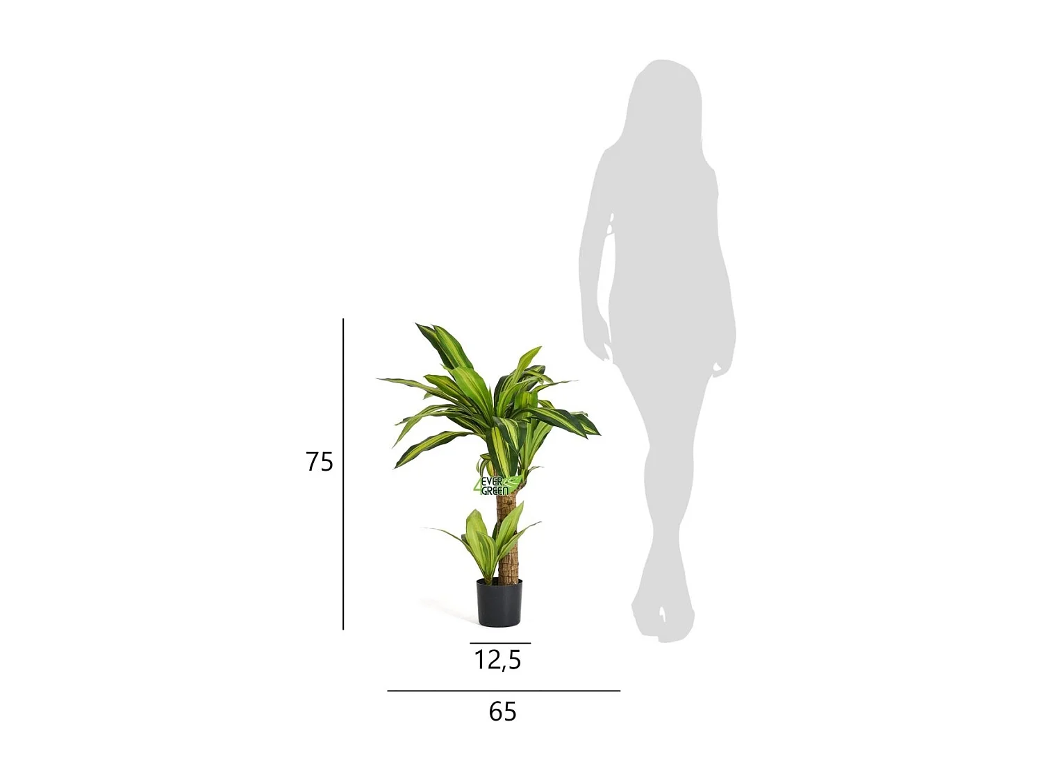 Planta artificiale con vaso - Dracena - H. 80 cm