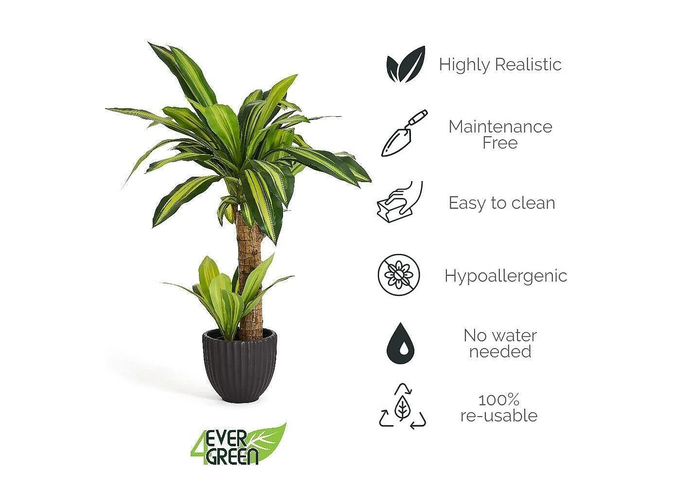 Planta artificiale con vaso - Dracena - H. 80 cm