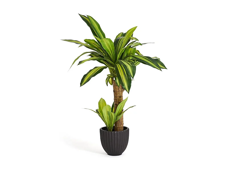 Kunstpflanze mit Topf - H. 80 cm - Dracaena