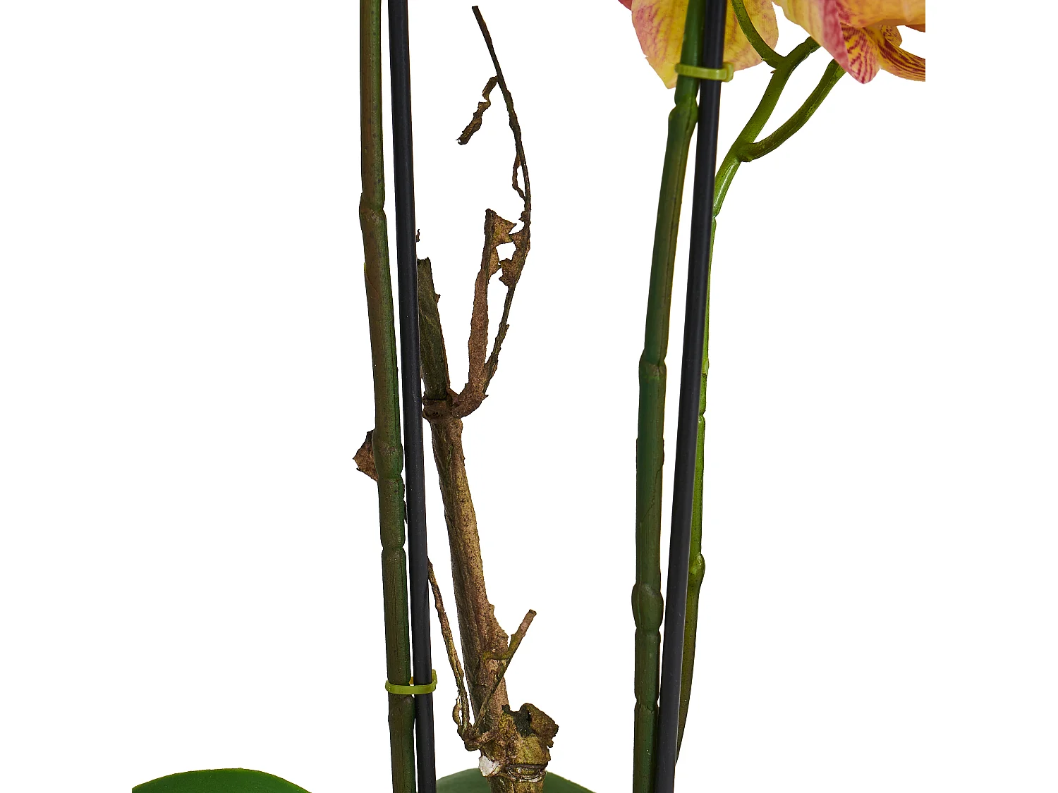 Kunstplant met pot - Orchidee - H. 42 cm