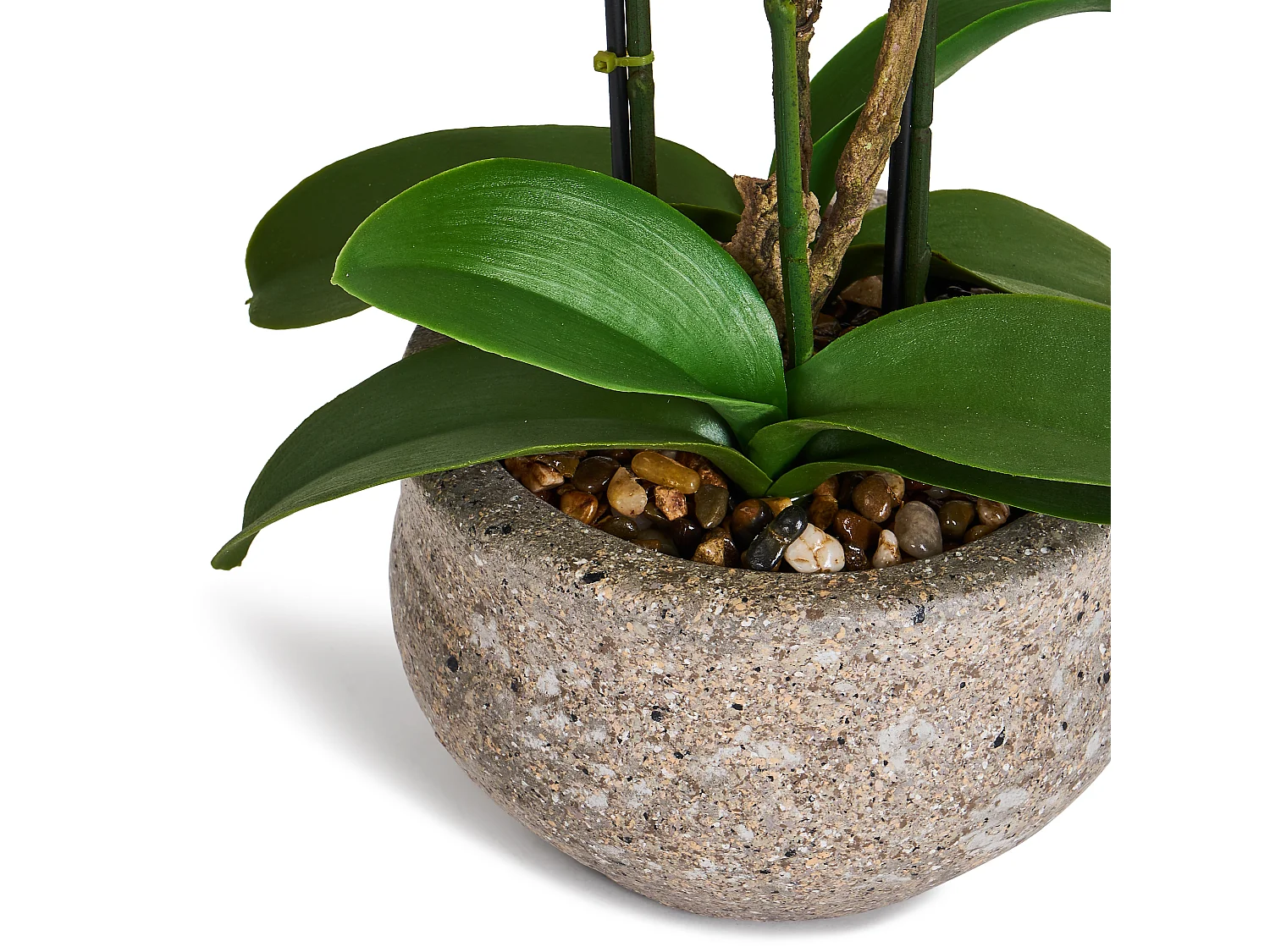 Kunstplant met pot - Orchidee - H. 42 cm