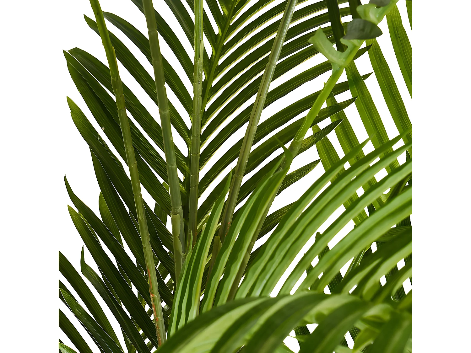 Plante artificielle Palm