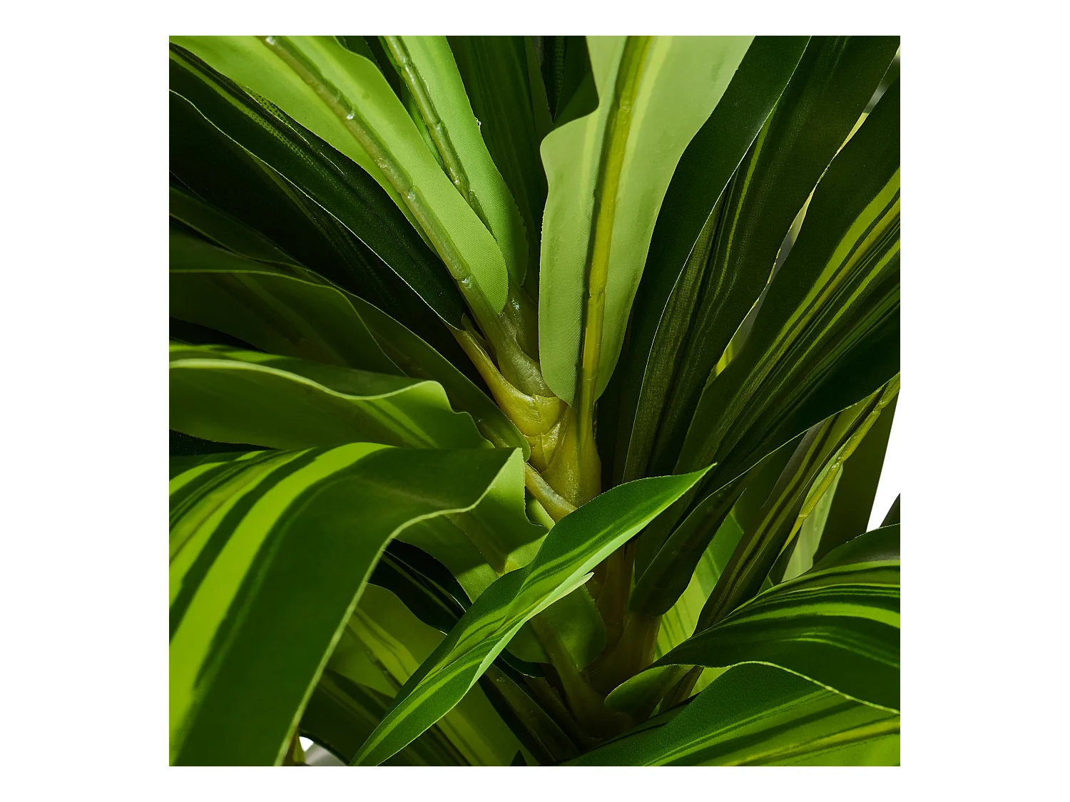 Kunstplant met pot - Dracena - H. 150 cm