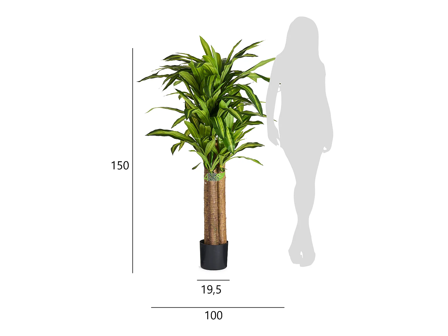 Kunstplant met pot - Dracena - H. 150 cm