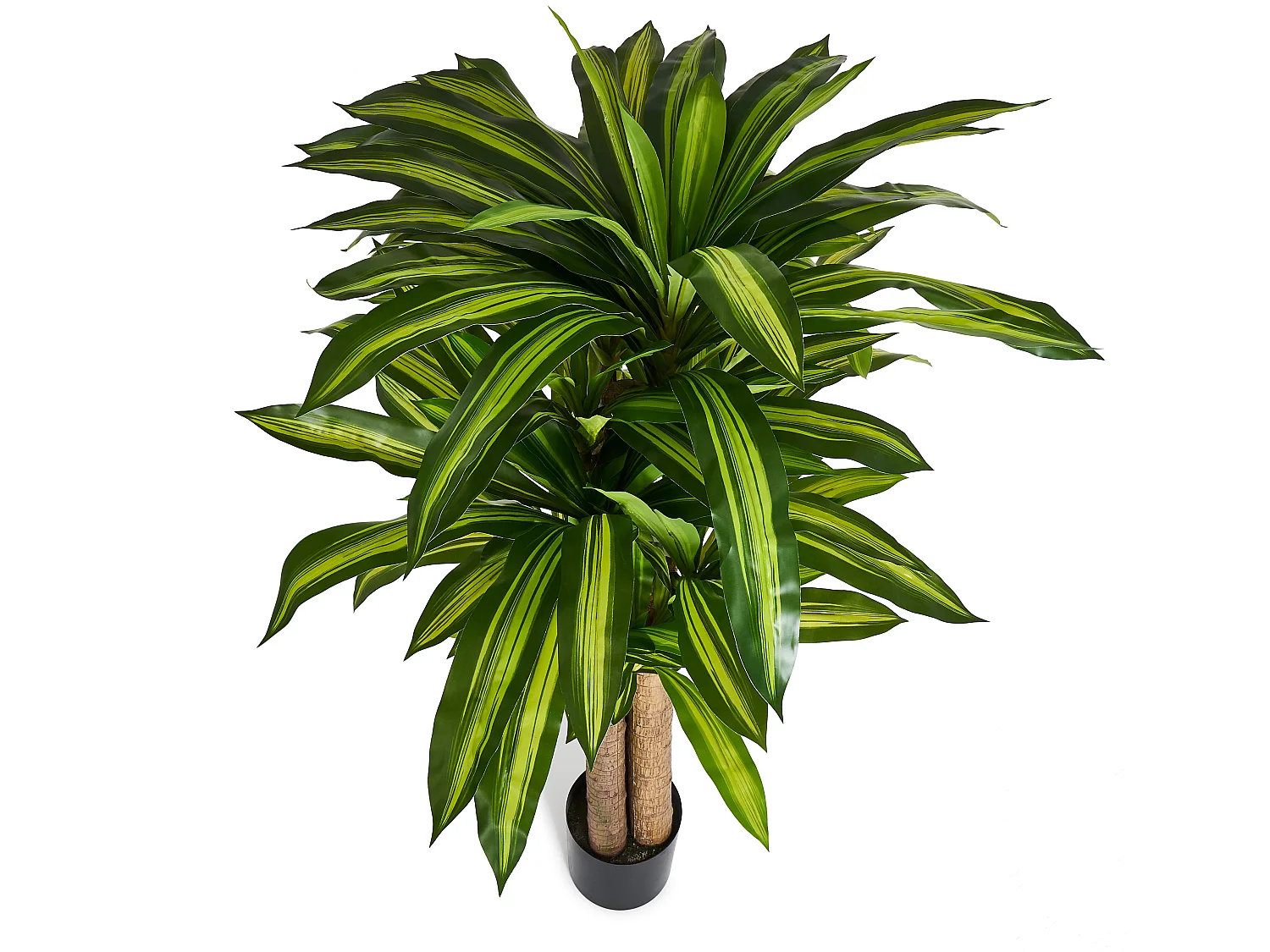 Planta artificial con maceta - Dracena - H. 150 cm