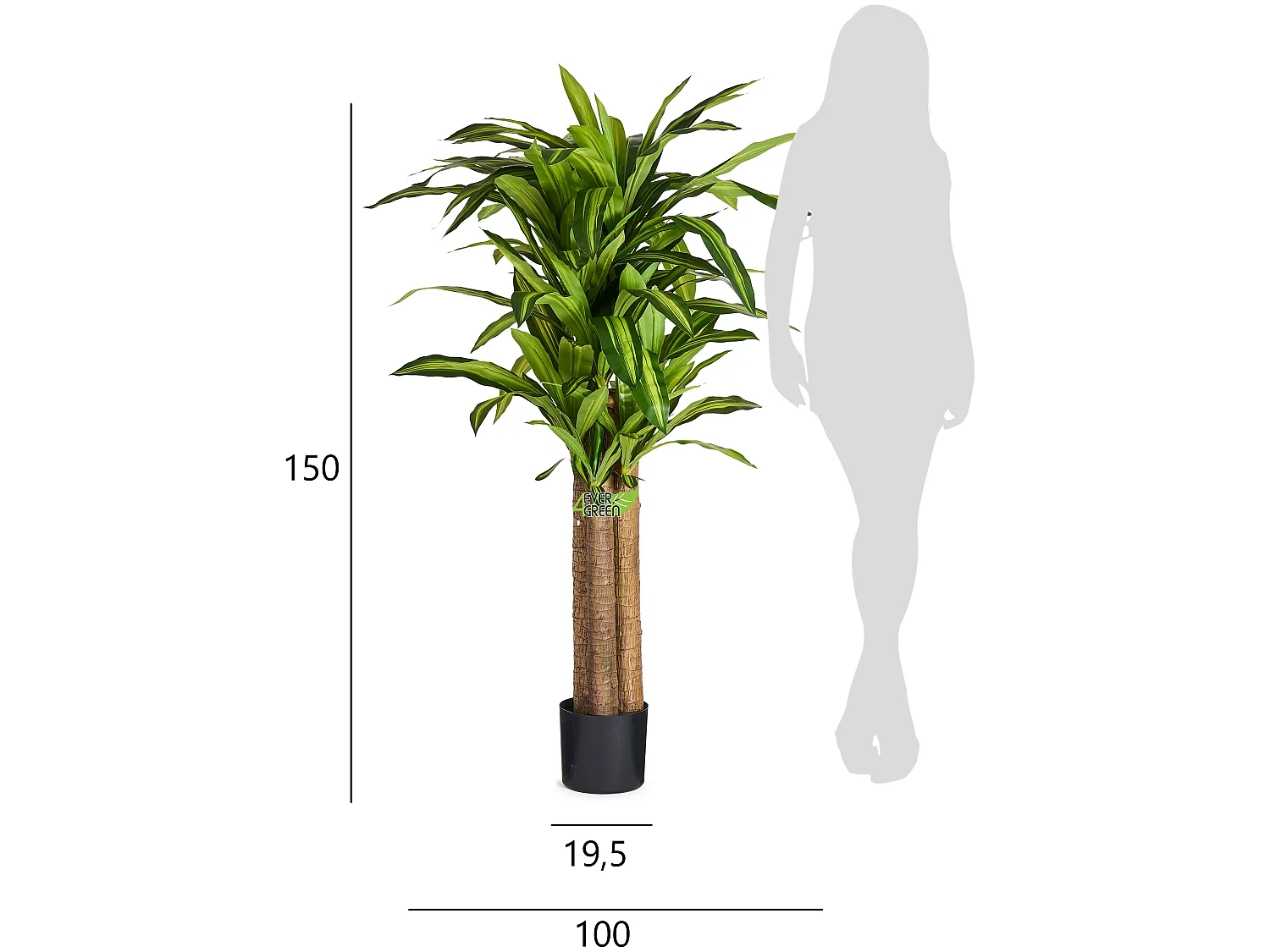 Planta artificial con maceta - Dracena - H. 150 cm