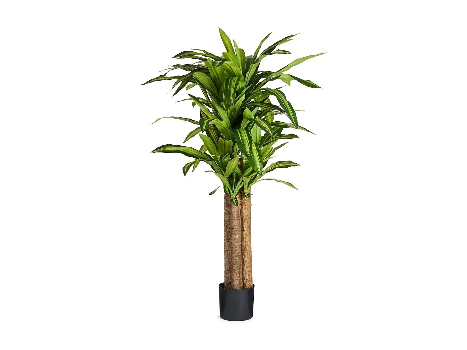 Kunstpflanze mit Topf - H. 155 cm - Dracaena