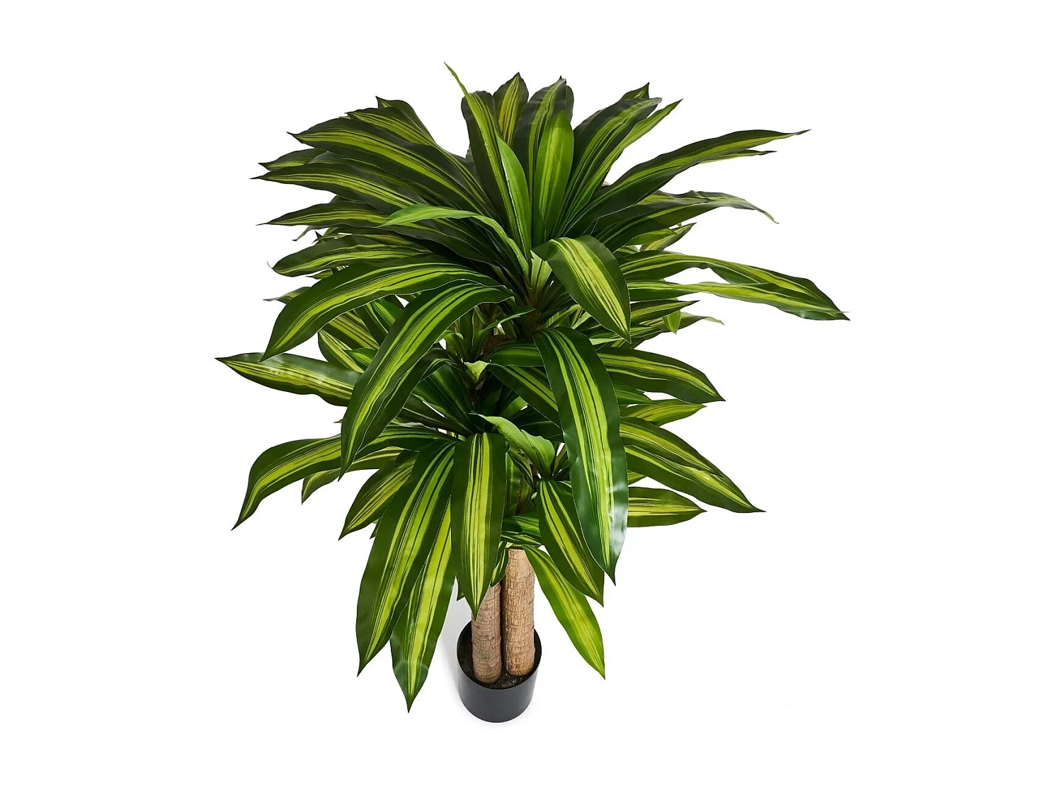 Kunstpflanze mit Topf - H. 155 cm - Dracaena