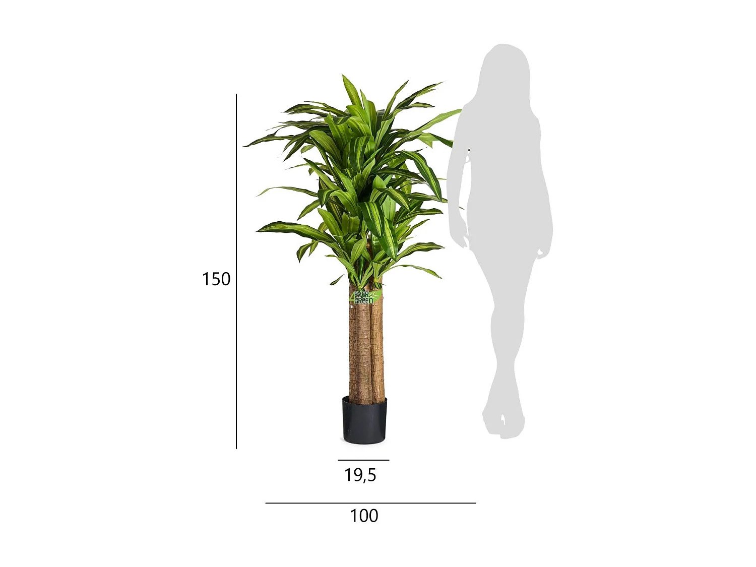 Kunstpflanze mit Topf - H. 155 cm - Dracaena