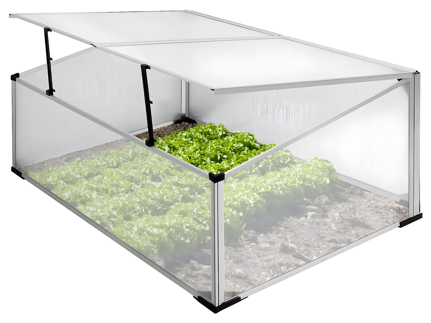 Serra da giardino in policarbonato alluminio pianta ortaggi pomodori fiori ECD Germany