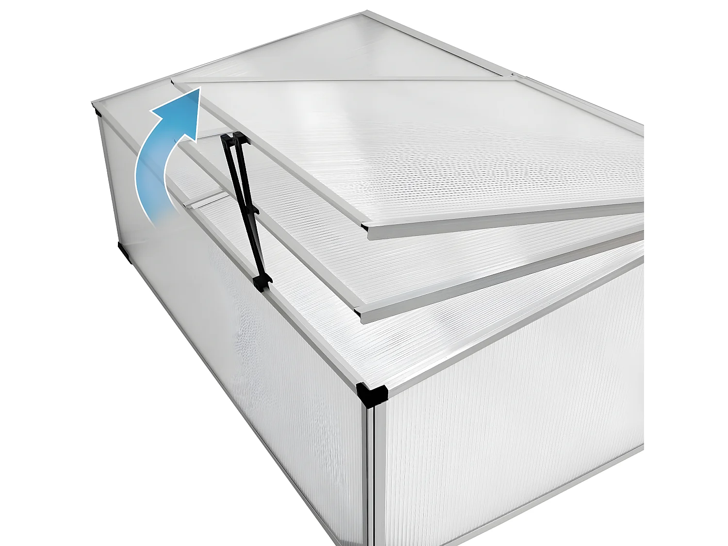 Serra da giardino in policarbonato alluminio pianta ortaggi pomodori fiori ECD Germany