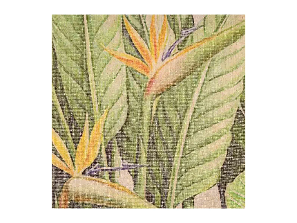 Tela stampata in pergamena