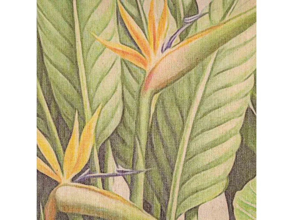 Lona de tecido impressa em pergaminho