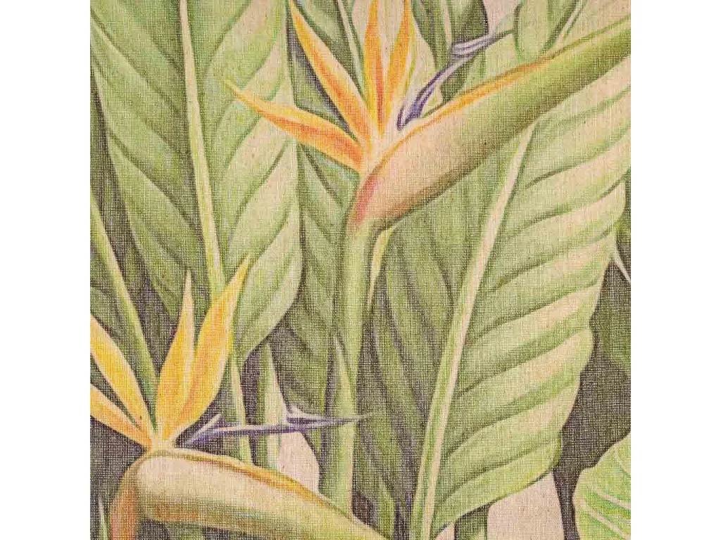 Lona de tecido impressa em pergaminho