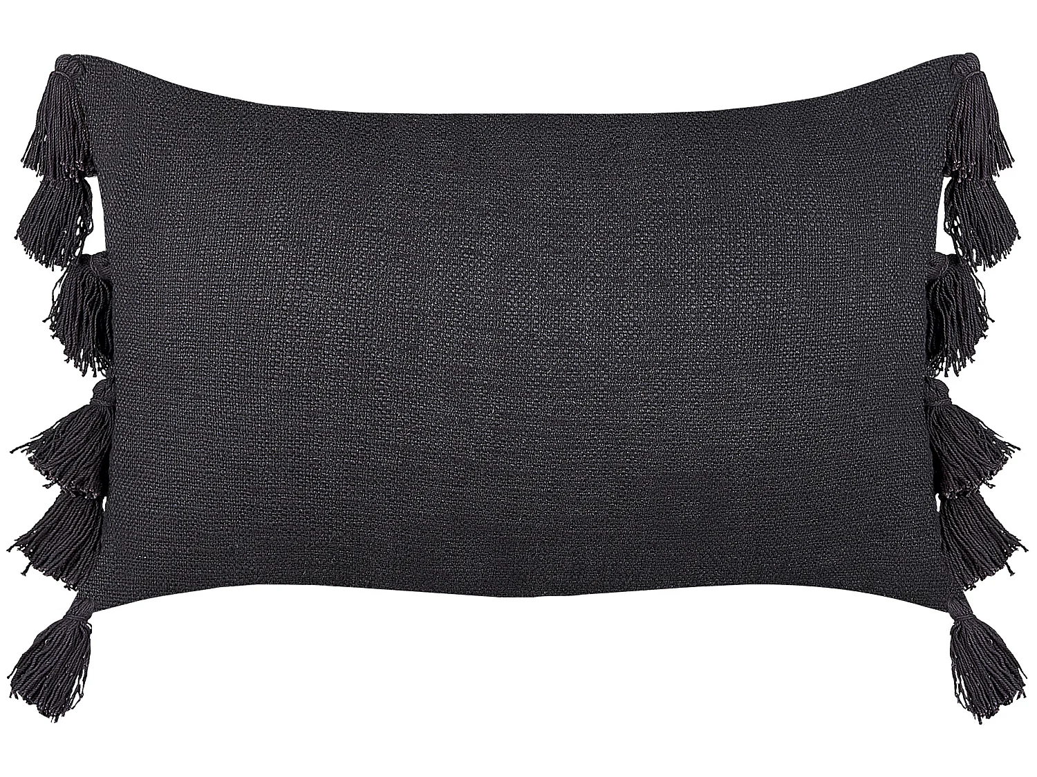 Conjunto de 2 almofadas decorativas LYTHRUM Algodão 45 x 45 cm Preto Sólido