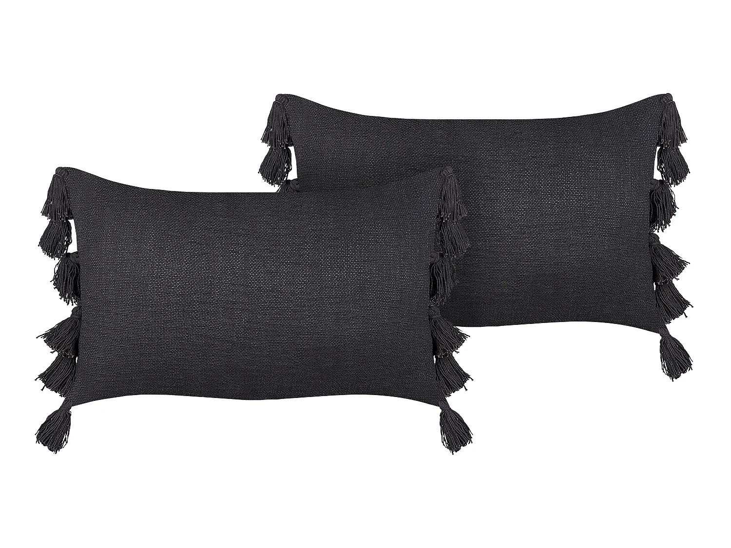 Lot de 2 coussins décoratifs LYTHRUM Coton 45 x 45 cm Noir Unicolore