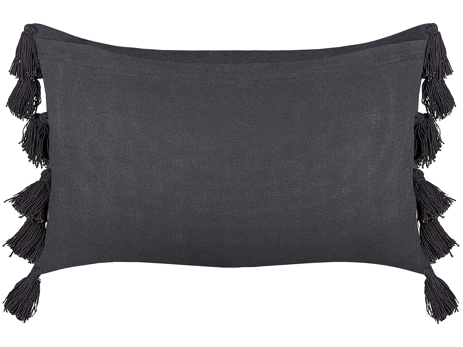 Set van 2 decoratieve kussens LYTHRUM Katoen 45 x 45 cm Zwart Effen