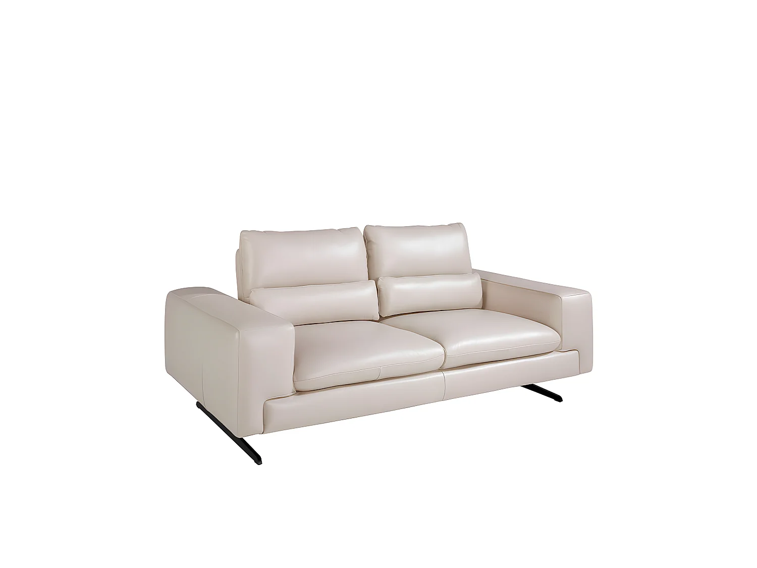 Canapé 2 places en cuir et acier noir 6141 ANGEL CERDA