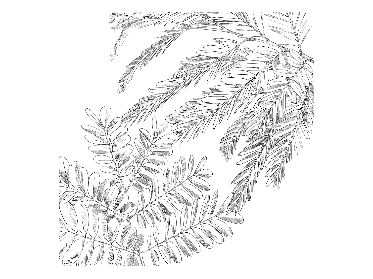 Juego de edredón estampado jungla dorada 240 x 220 cm