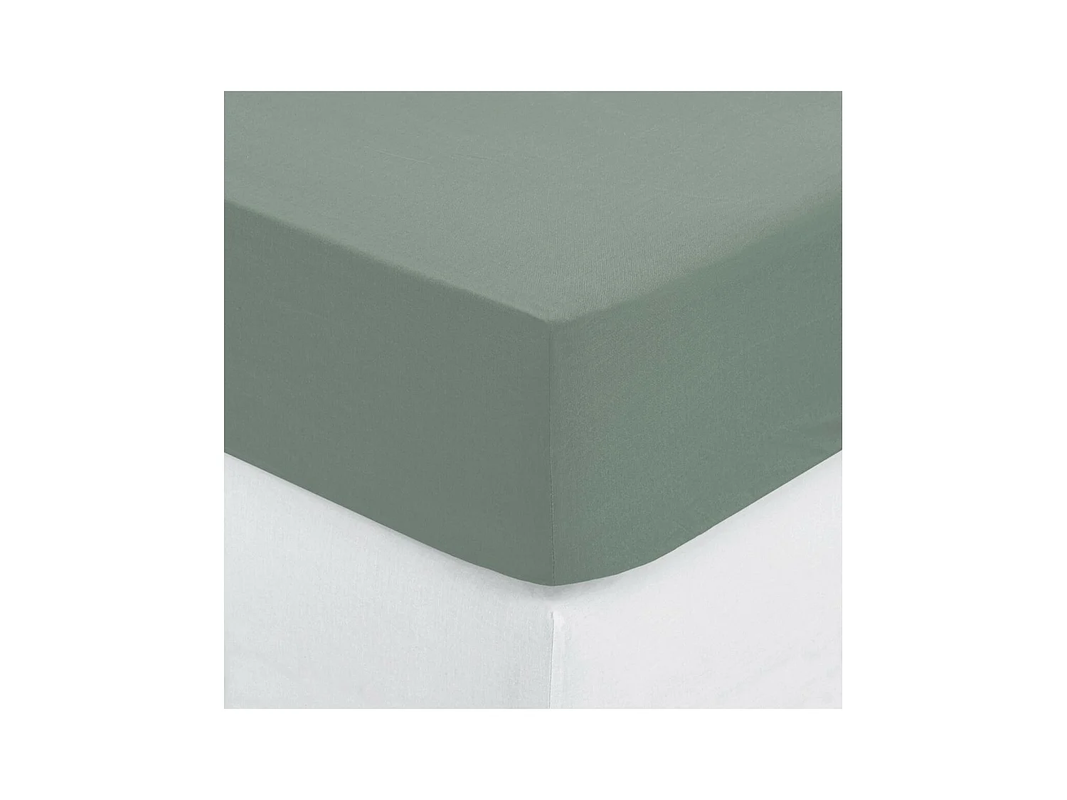 Drap housse 2 Personnes en Coton Vert céladon 160 x 200 cm