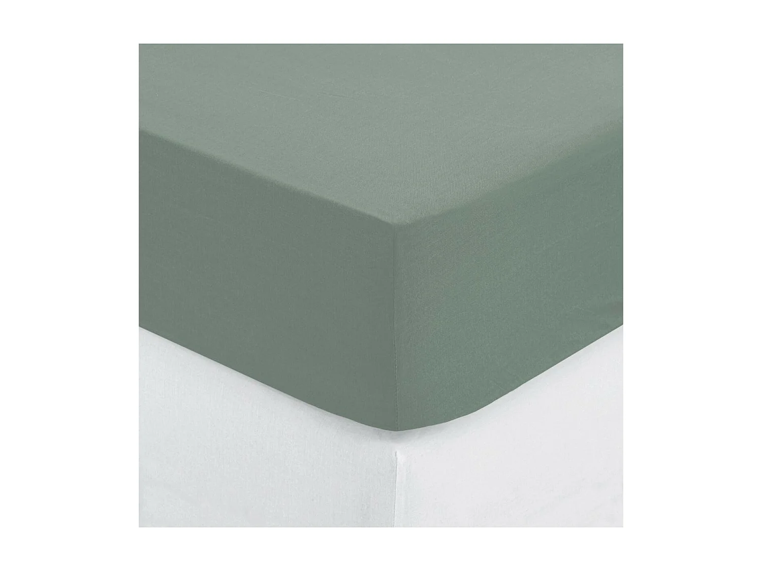 Drap housse 2 Personnes en Coton Vert céladon 160 x 200 cm