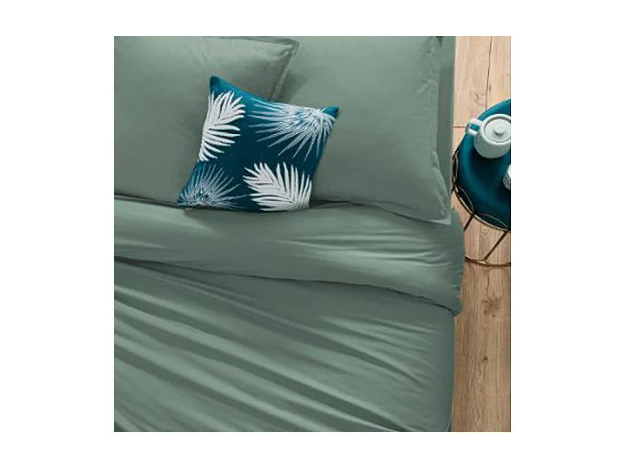 Drap housse 2 Personnes en Coton Vert céladon 160 x 200 cm