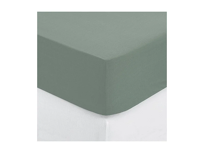 Drap housse 2 Personnes en Coton Vert céladon 160 x 200 cm