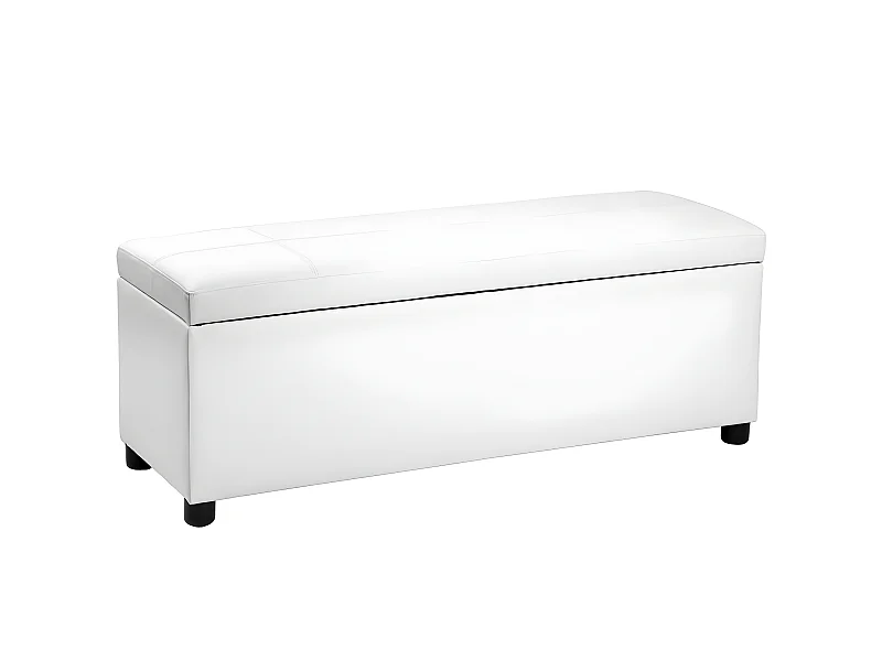 Banquette coffre avec espace blanche 119 x 38 x 45 cm 03_0001628