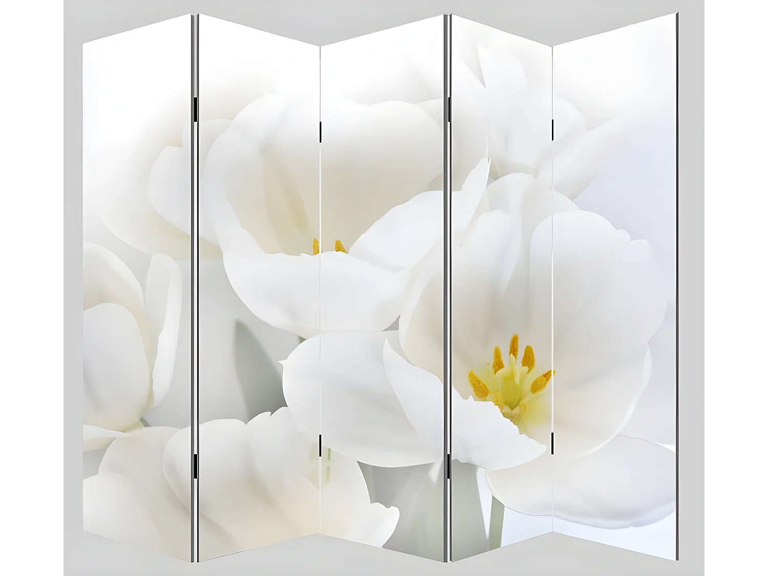 Paravent 5 panneaux pans 200 x 3 x 180 cm PAR04006