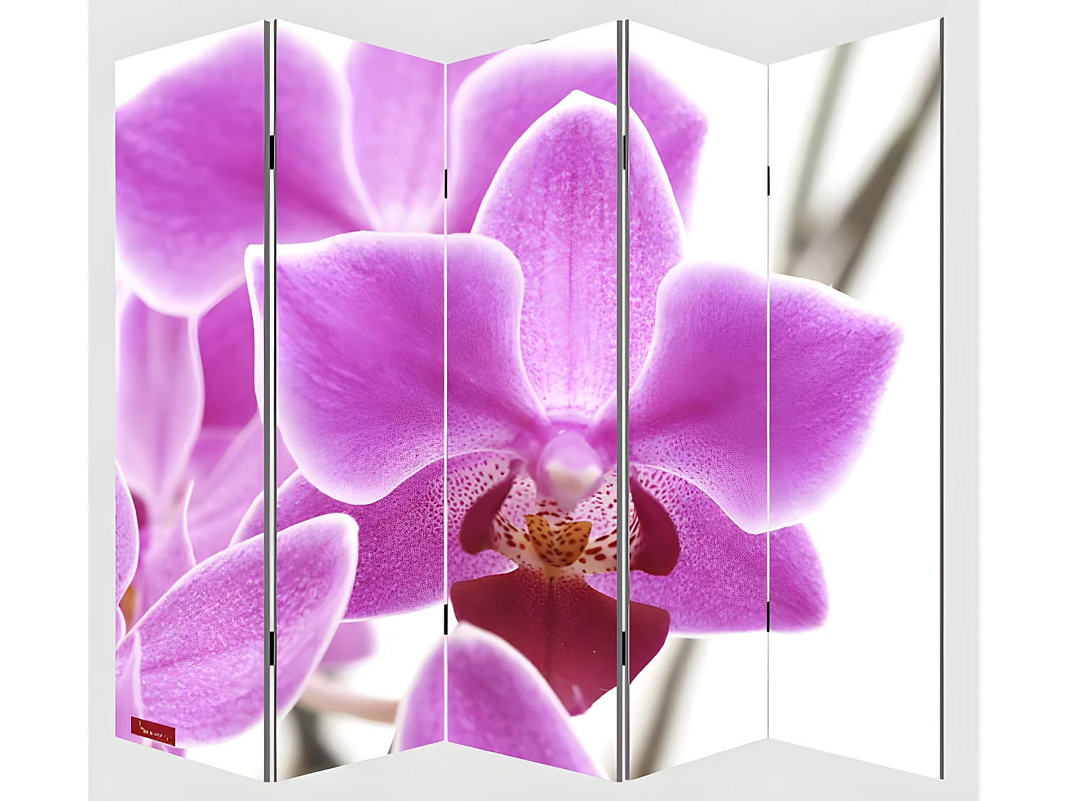 Paravent 5 panneaux pans 200 x 3 x 180 cm PAR04006