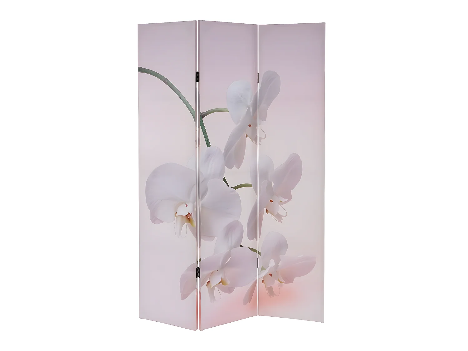 Paravent 3 panneaux pans 120 x 2.5 x 180 cm PAR04015