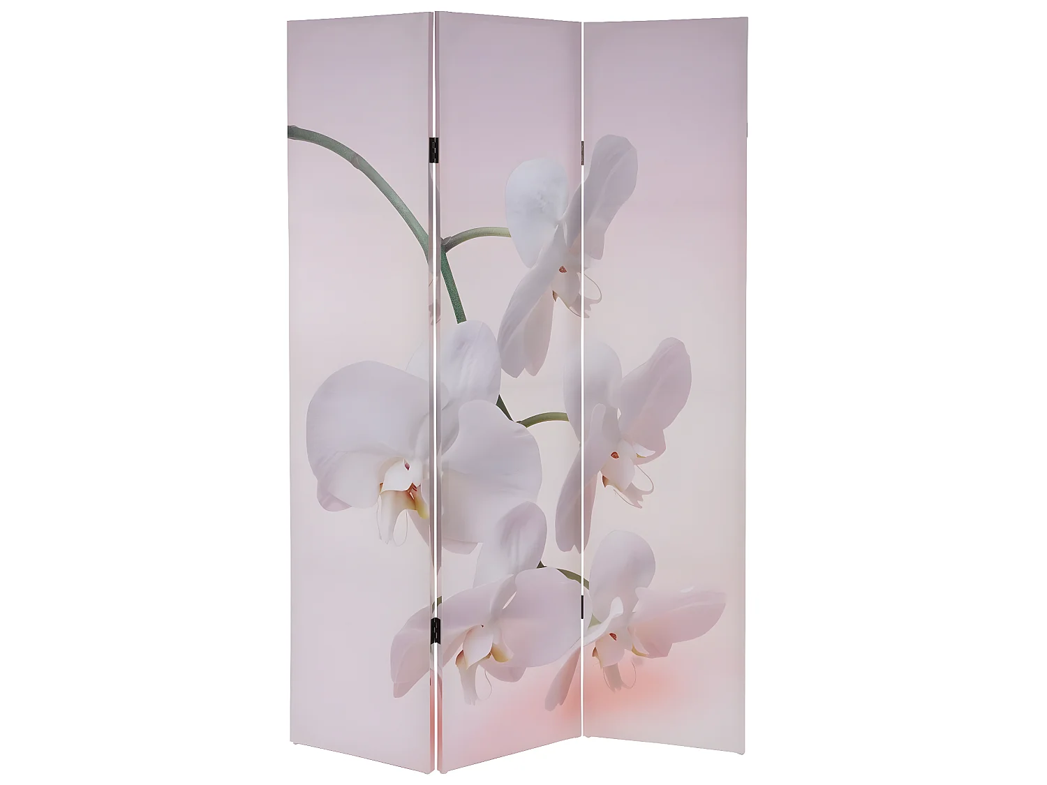 Paravent 3 panneaux pans 120 x 2.5 x 180 cm PAR04015