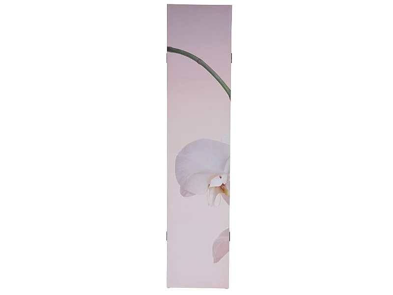 Paravent 3 panneaux pans 120 x 2.5 x 180 cm PAR04015