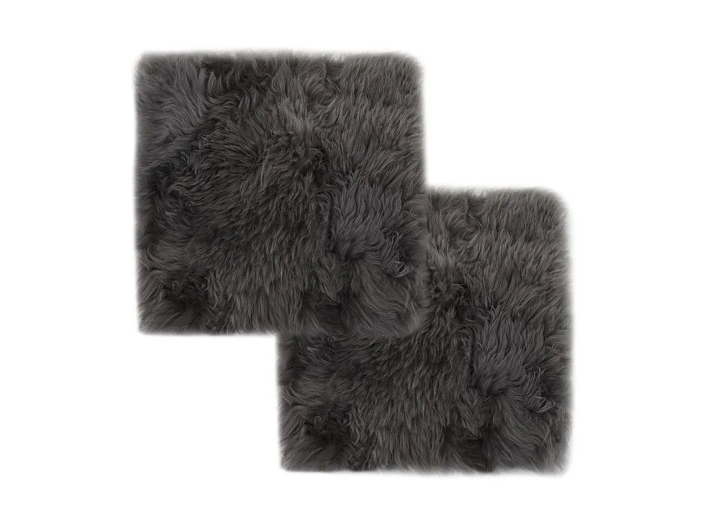 Lot de 2 coussins grise 40 x 40 x 3 cm DEC021288