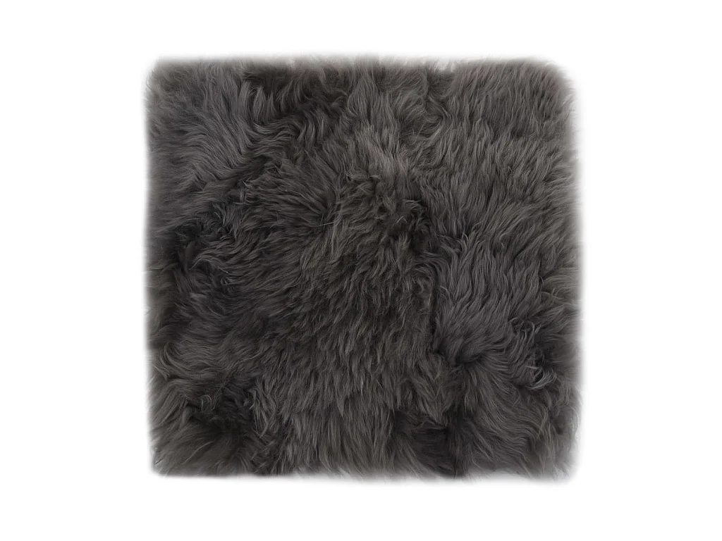 Lot de 2 coussins grise 40 x 40 x 3 cm DEC021288